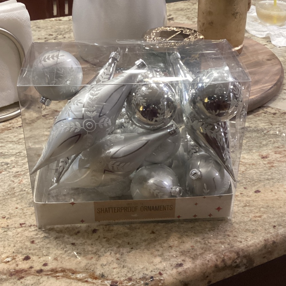 Silver Shatterproof Ornaments Set